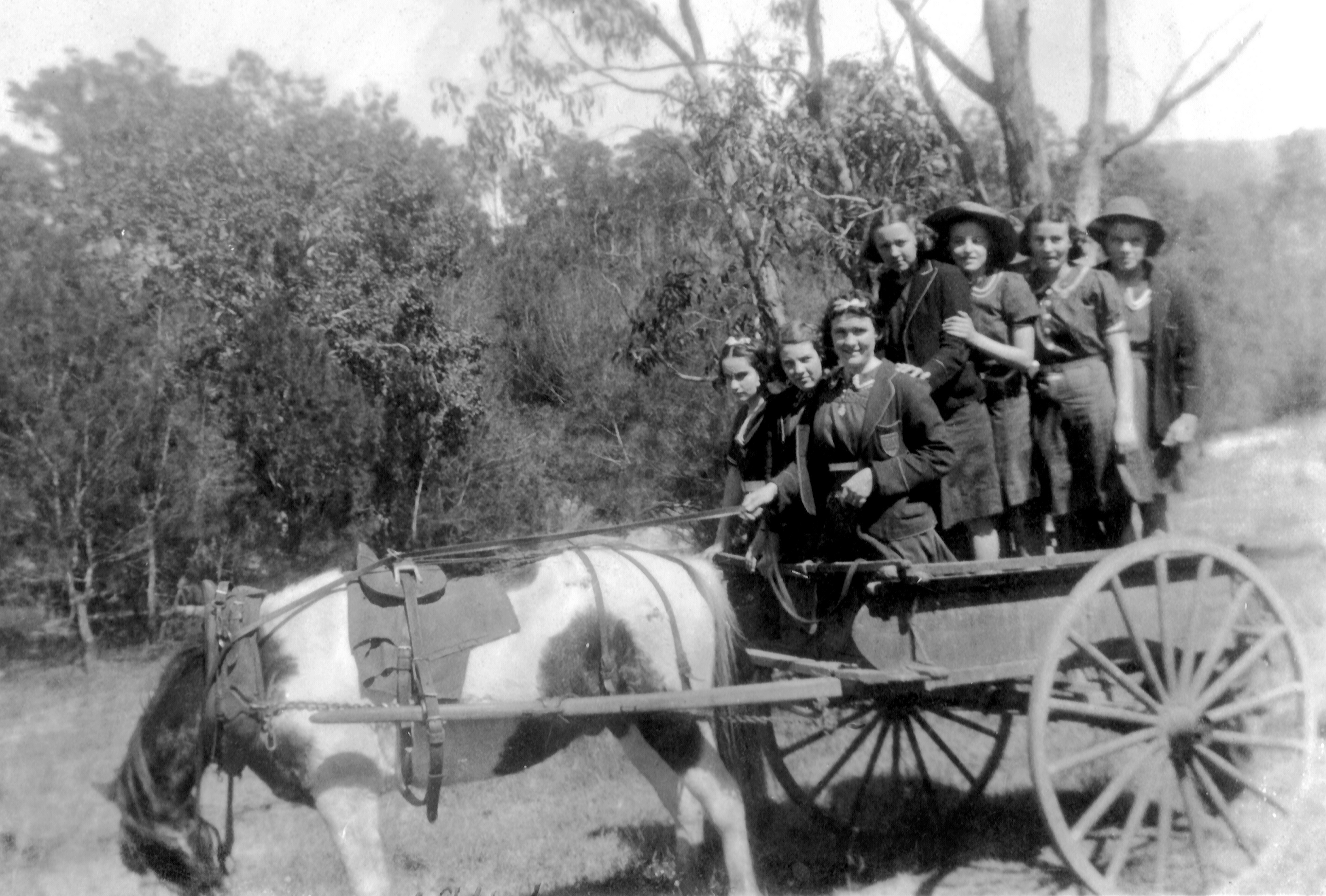 1930s Girls on cart