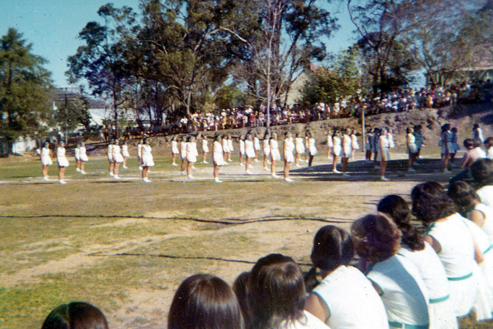 1971 Display for opening of new building 6